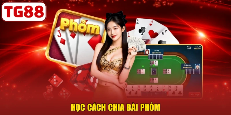 Học cách chia bài phỏm